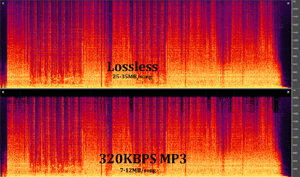So sánh chất lượng nhạc Lossless và Mp3 320kbps